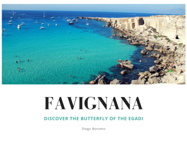 Favignana, the butterfly of the Egadi